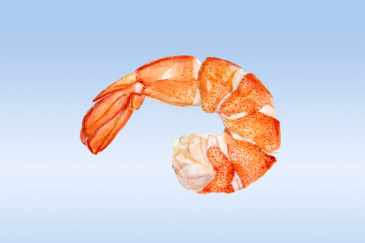 Frische Garnelen auf Eis serviert