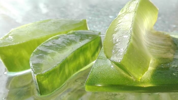 Forschung zeigt: Aloe Vera Saft kann den Glukosespiegel senken